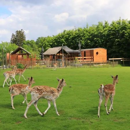 La Roulotte D'ala-daims Κάμπινγκ *