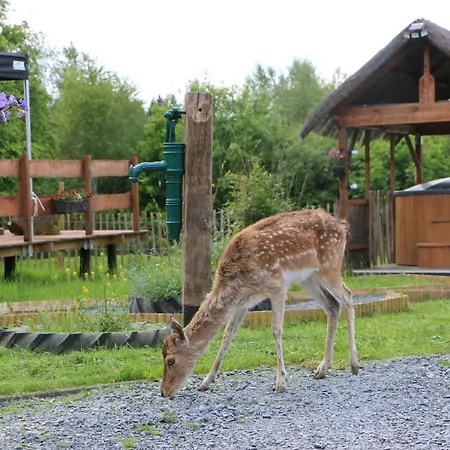 La Roulotte D'ala-daims * Nollevaux