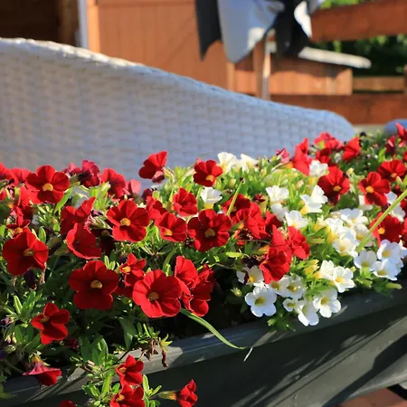 La Roulotte D'ala-daims *