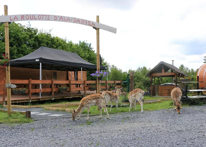 La Roulotte D'ala-daims Parque de Campismo Nollevaux